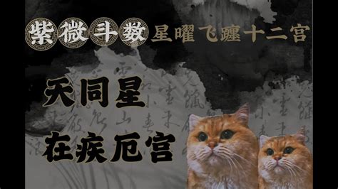 天同疾厄宮|紫微斗數【天同星入疾厄宮】解析